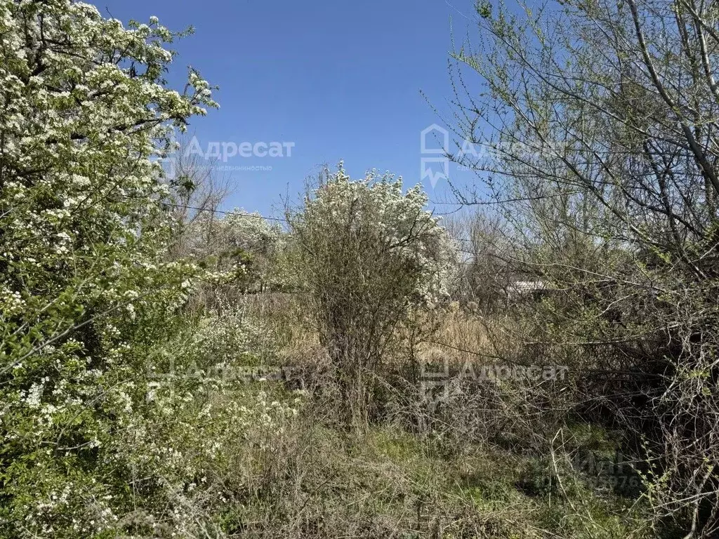 Участок в Волгоградская область, Волгоград пос. Замечетинский, ул. ... - Фото 2