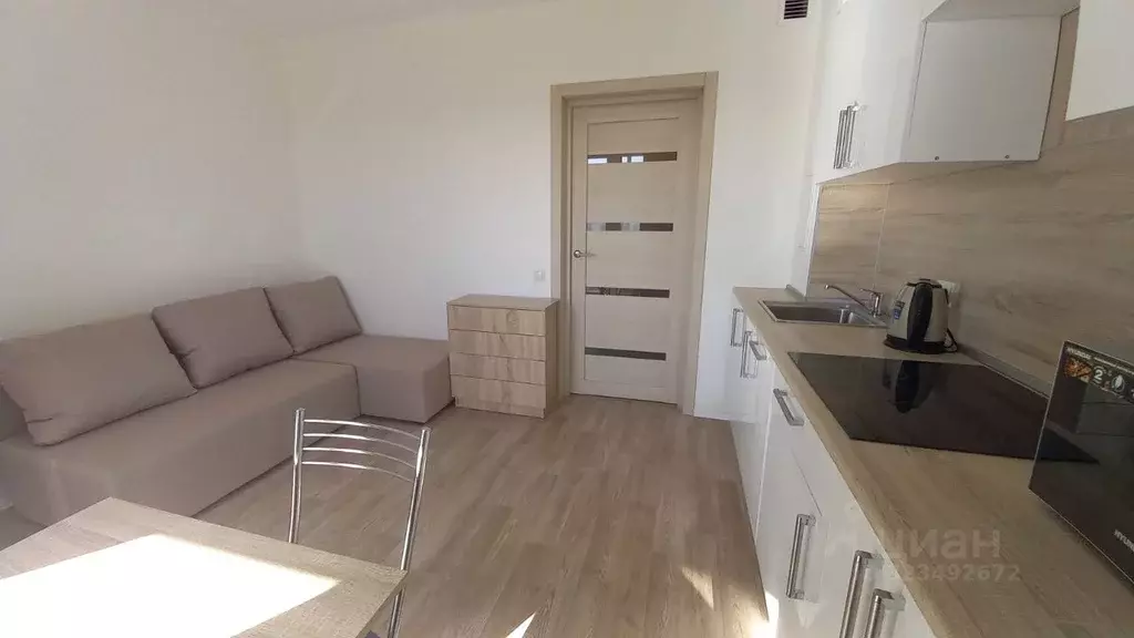 Студия Санкт-Петербург наб. Реки Каменки, 21к1 (20.0 м) - Фото 1