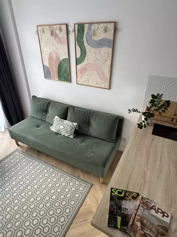 Студия Краснодарский край, Сочи ул. Ленина, 290/6 (20.1 м) - Фото 1