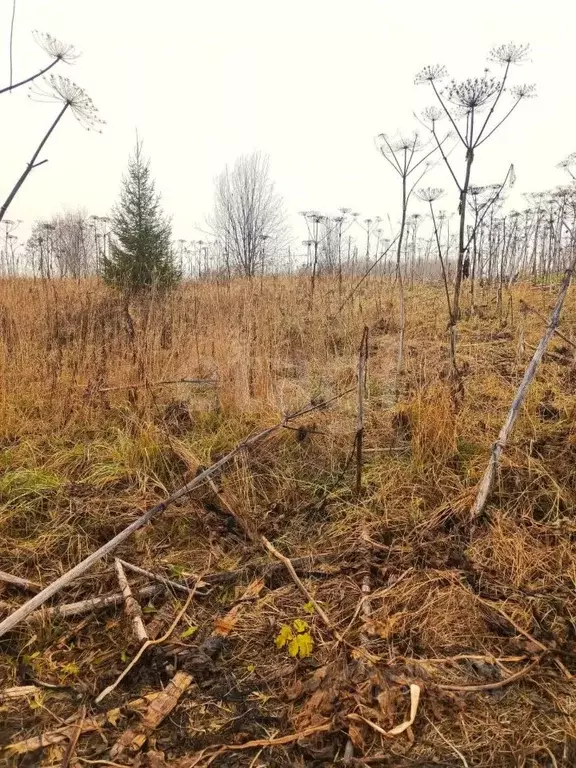 Участок в Коми, Сыктывдинский район, с. Выльгорт ул. Дальняя (8.67 ... - Фото 2