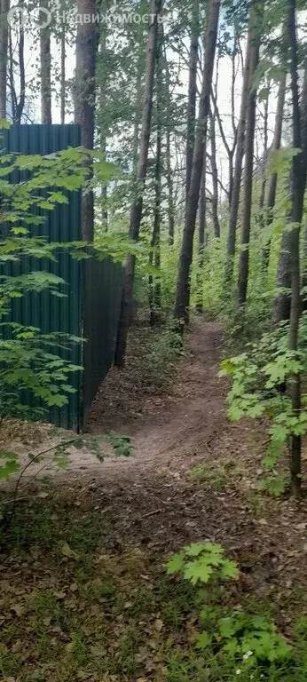 Участок в городской округ Тамбов, посёлок Тригуляй (10 м) - Фото 1