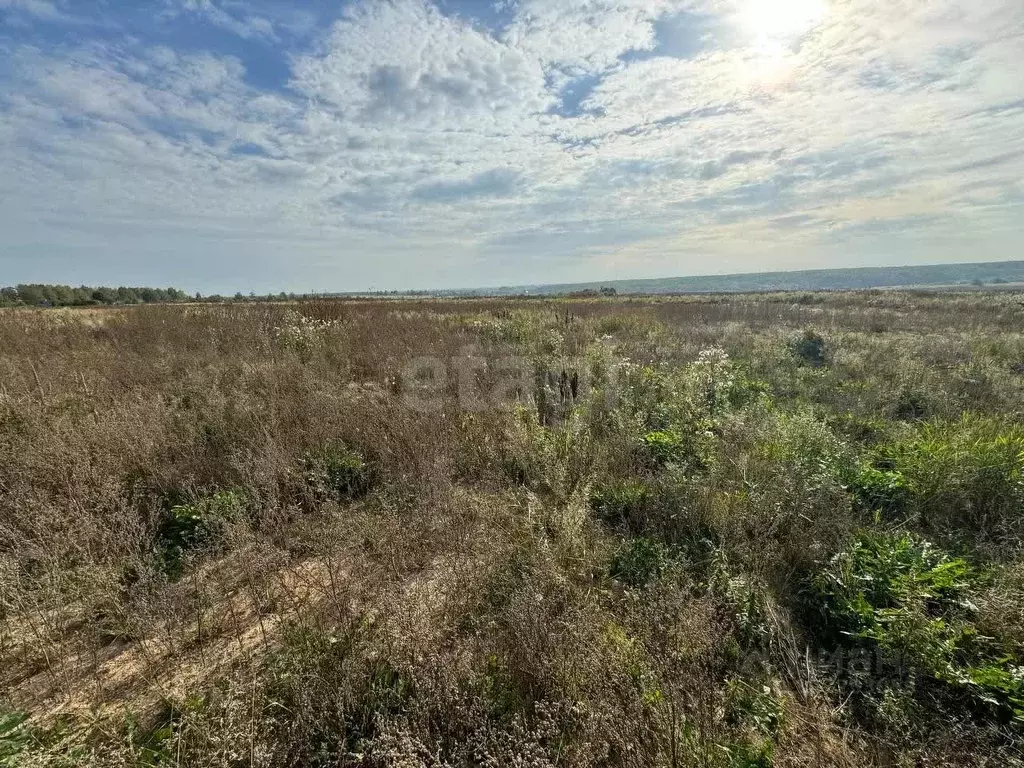 Участок в Вологодская область, д. Абакшино ул. Панкратова (15.0 сот.) - Фото 0