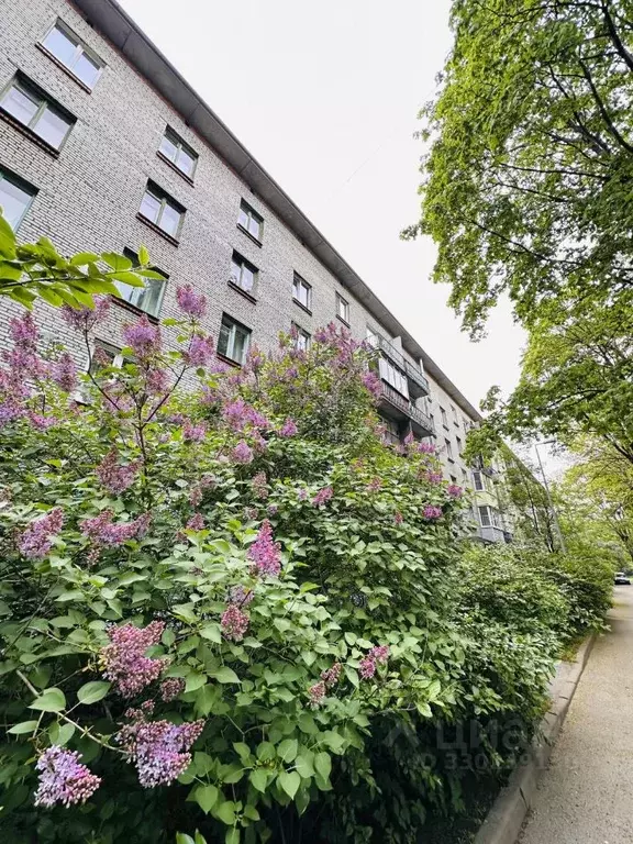 1-к кв. Санкт-Петербург ул. Орбели, 27К6 (29.4 м) - Фото 1