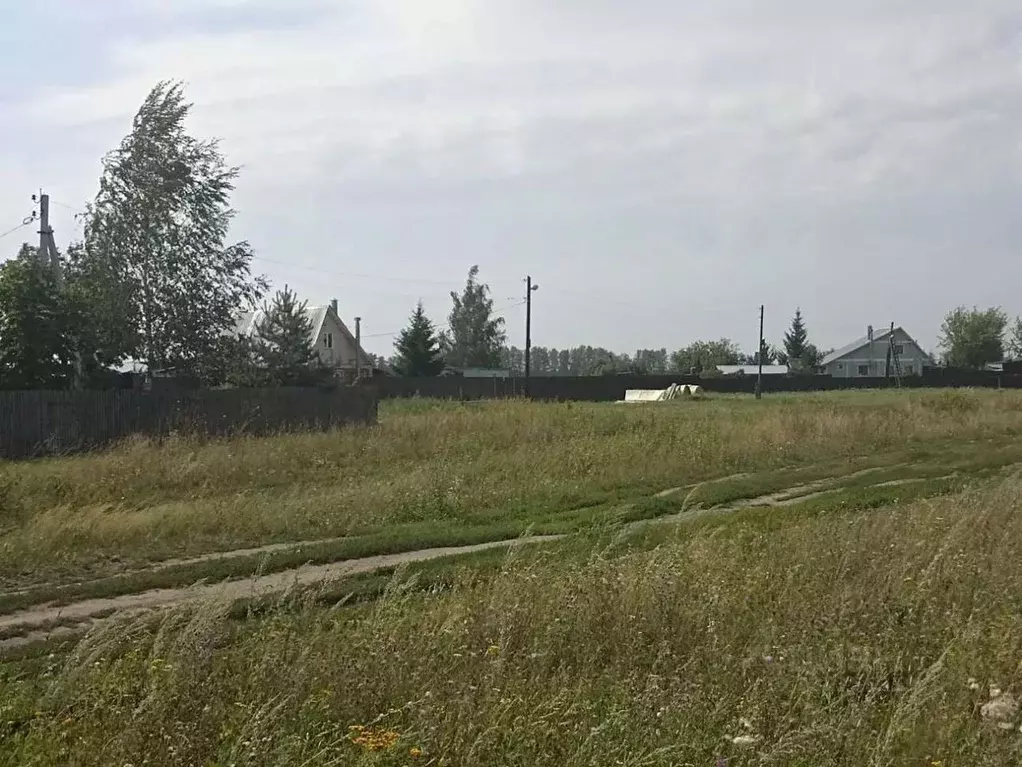 Участок в Рязанская область, Рязанский муниципальный округ, Тюшевское ... - Фото 1