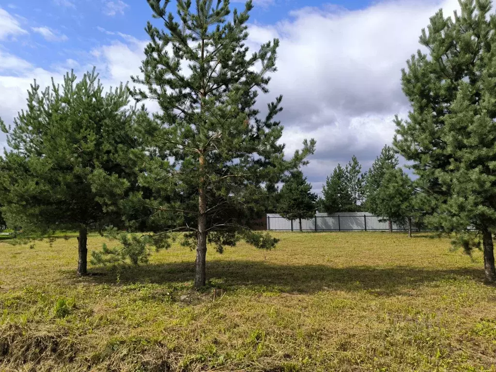 Участок в Московская область, Раменский муниципальный округ, Лесная ... - Фото 1