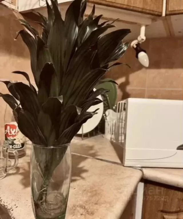 1-к кв. Санкт-Петербург Гражданский просп., 83К4 (30.0 м) - Фото 1