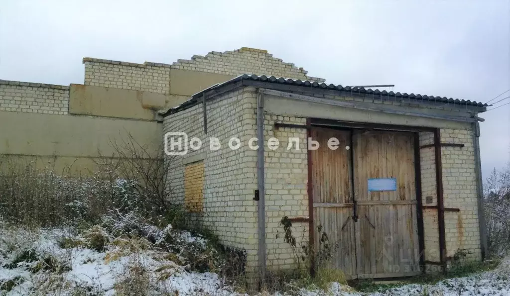 Склад в Рязанская область, Шиловский район, Занино-Починковское с/пос, ... - Фото 1
