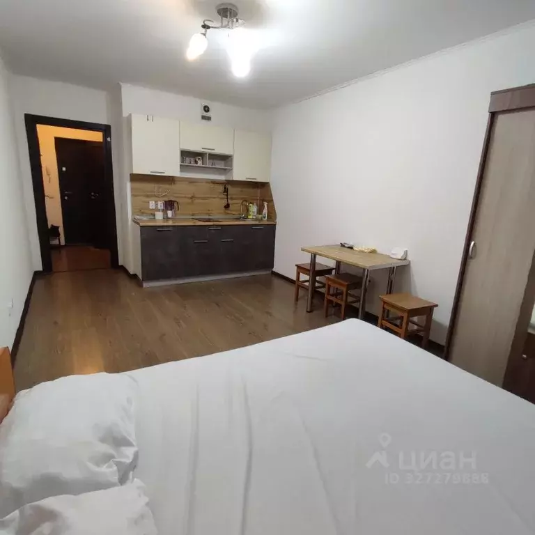 Студия Санкт-Петербург просп. Энергетиков, 9к6 (24.9 м) - Фото 2