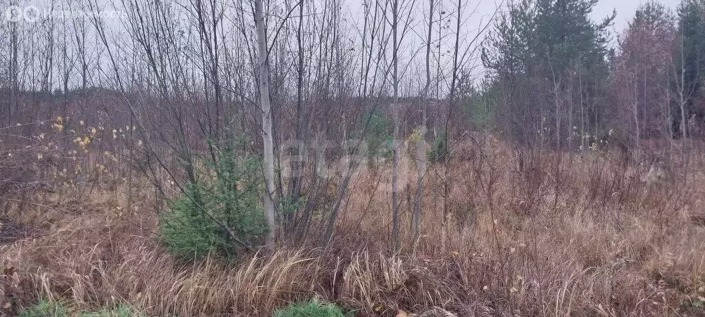 Участок в Новатор, Новая улица (14 м) - Фото 1