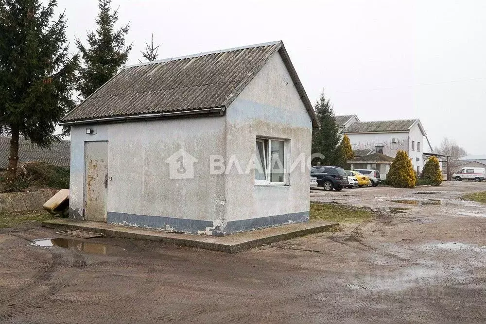 Помещение свободного назначения в Калининградская область, Гурьевский ... - Фото 1
