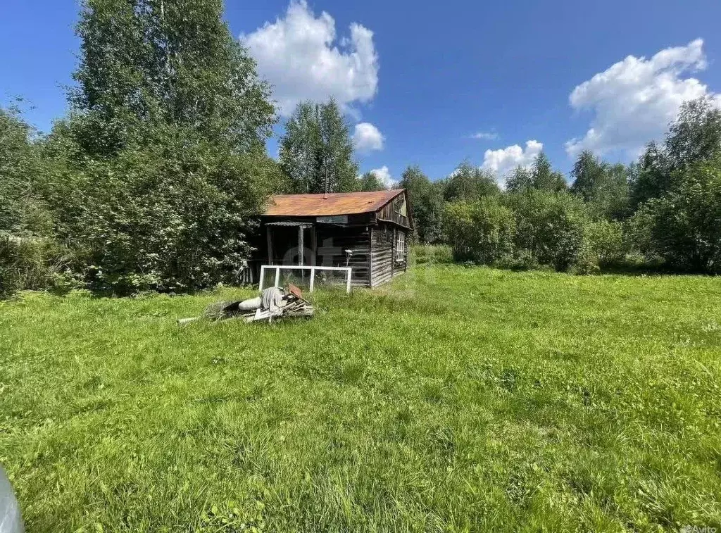 Участок в Красноярский край, Емельяновский муниципальный округ, ... - Фото 2