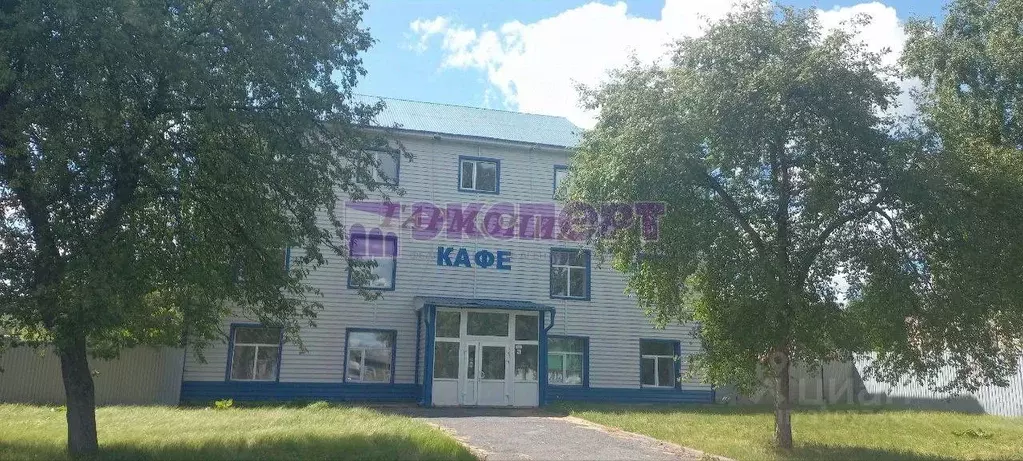 Торговая площадь в Тюменская область, Ялуторовск ул. Ворошилова (556 ... - Фото 1