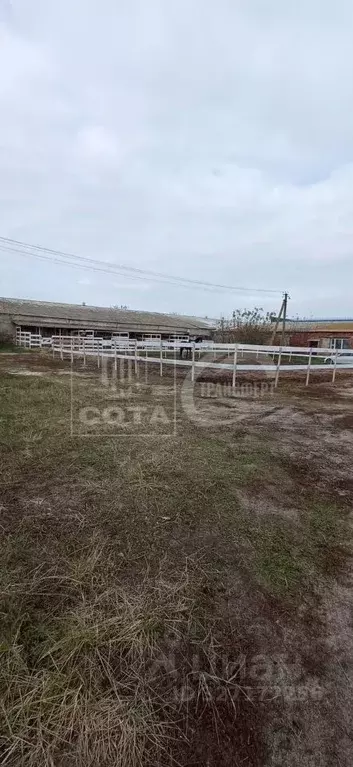 Участок в Воронежская область, Рамонский район, с. Ямное  (12.0 сот.) - Фото 2