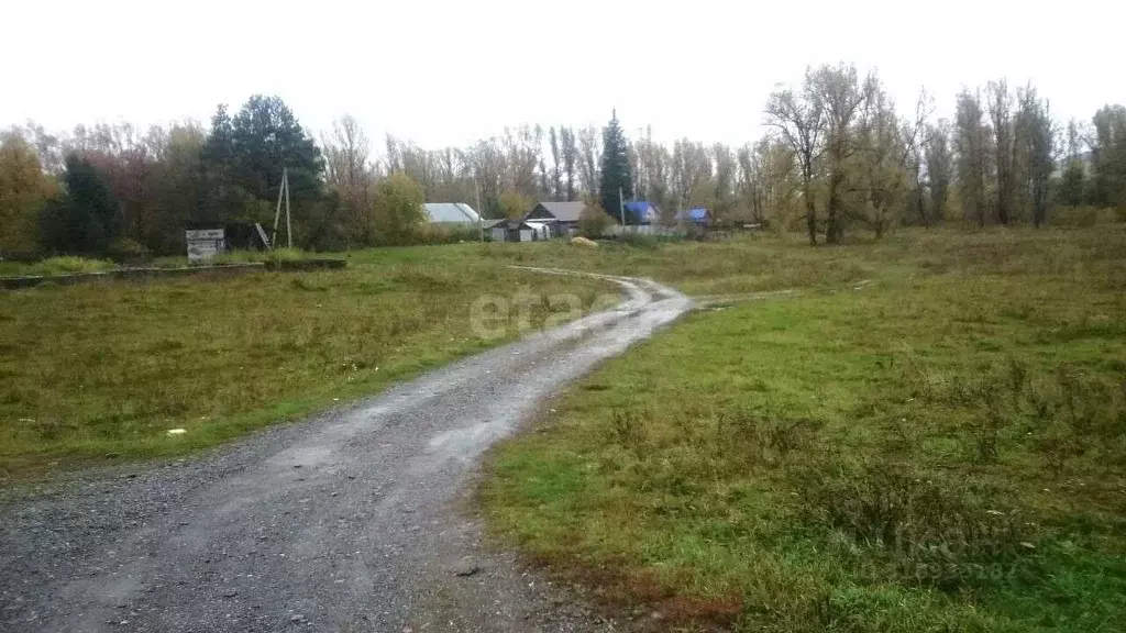Участок в Кировская область, Свечинский муниципальный округ ул. ... - Фото 0