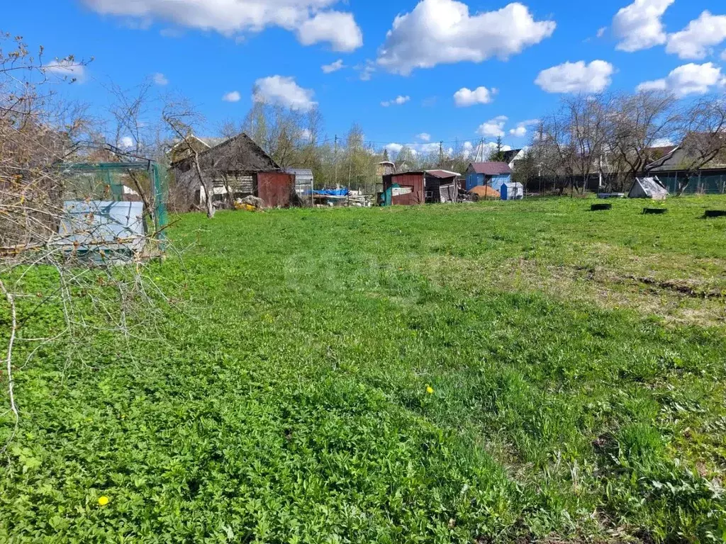 Участок в Ленинградская область, Гатчинский муниципальный округ, Учхоз ... - Фото 1