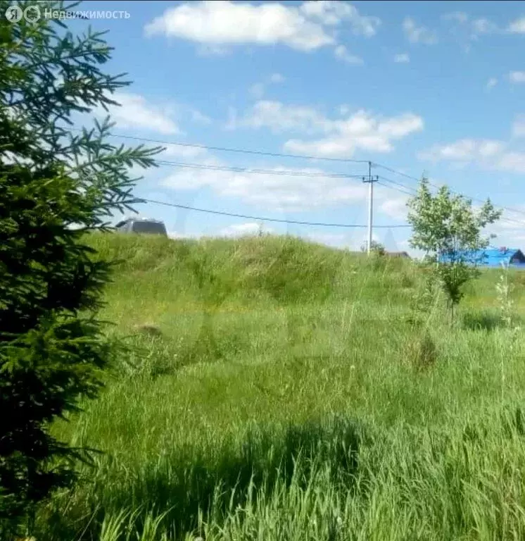 Участок в Кемеровский муниципальный округ, деревня Осиновка (21 м) - Фото 1