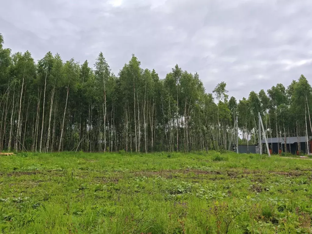 Участок в Тульская область, Заокский район, Страховское с/пос, д. ... - Фото 2