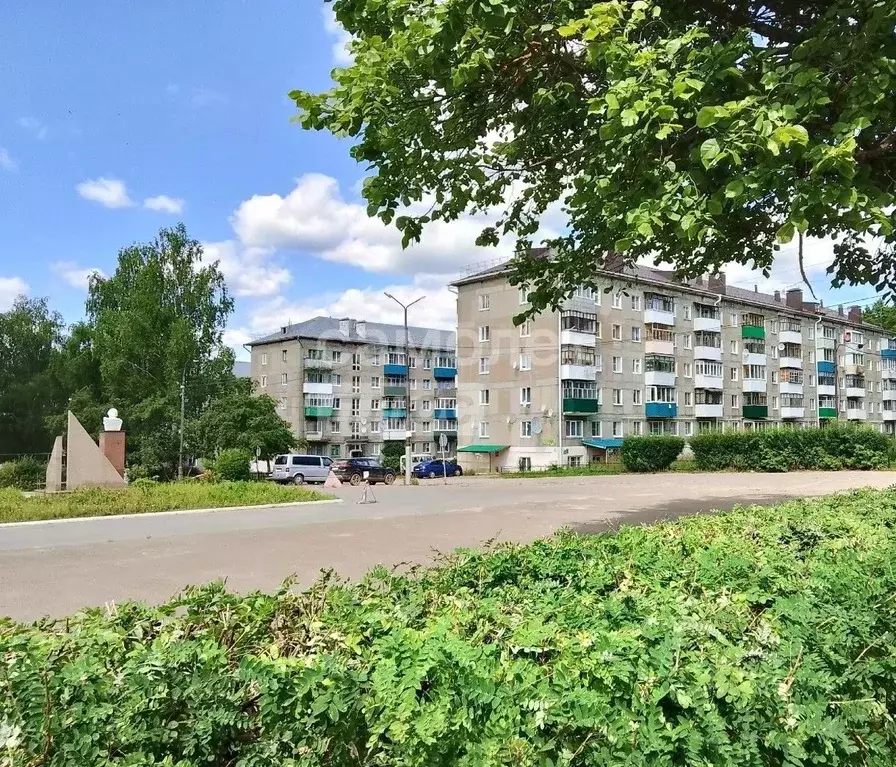 3-к кв. Марий Эл, Советский район, Солнечное с/пос, пос. Солнечный ул. ... - Фото 1