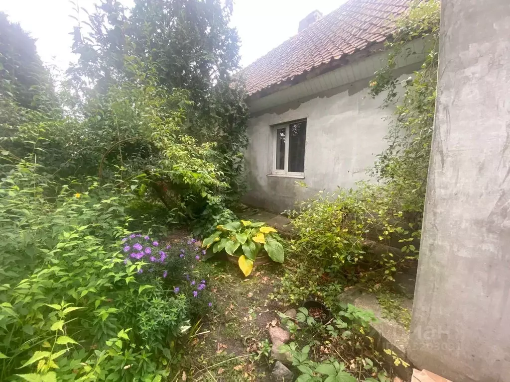 1-к кв. Калининградская область, Гвардейский муниципальный округ, пос. ... - Фото 2