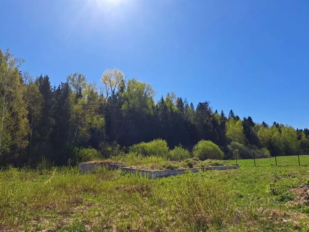 Участок в Московская область, Пушкинский городской округ, д. Хлопенево ... - Фото 1