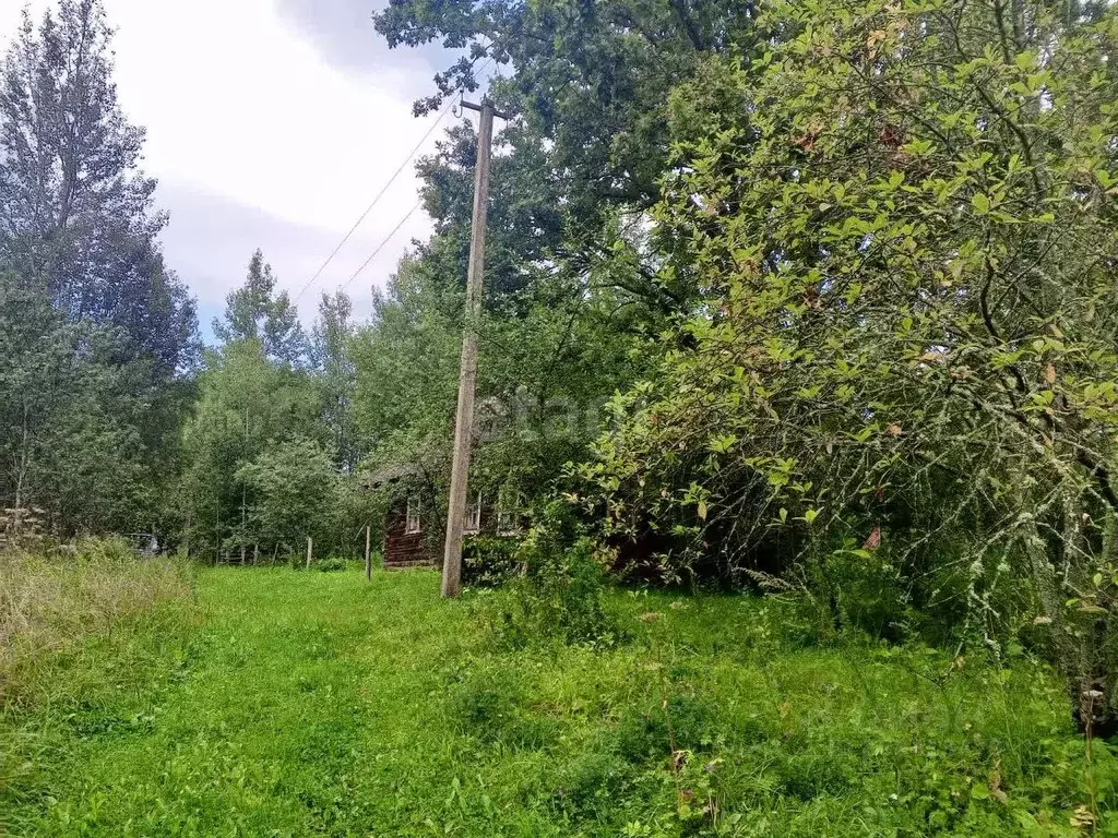 Участок в Псковская область, Пушкиногорский район, Велейская волость, ... - Фото 2