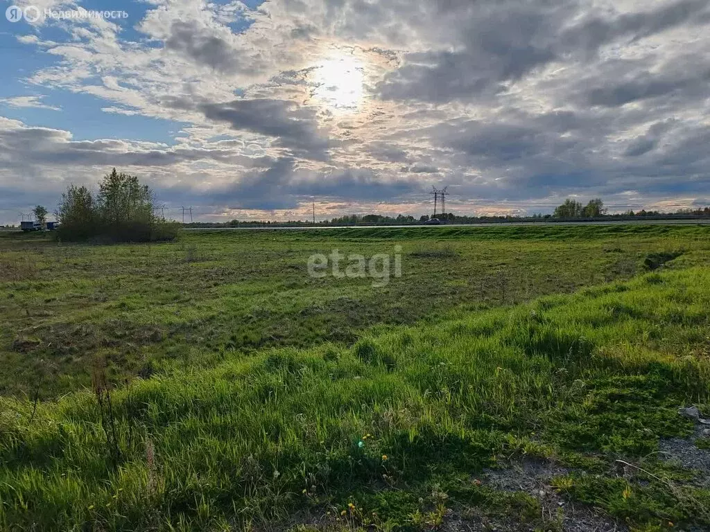 Участок в Ярковский район, село Дубровное (15 м) - Фото 1