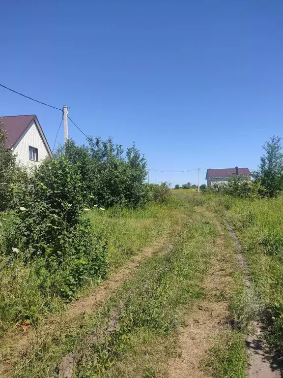 Участок в Липецкая область, Добровский муниципальный округ, с. ... - Фото 1
