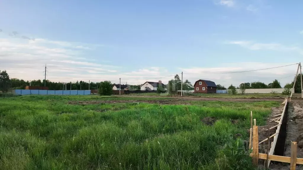Участок в Воронежская область, Рамонский район, Березовское с/пос, д. ... - Фото 1