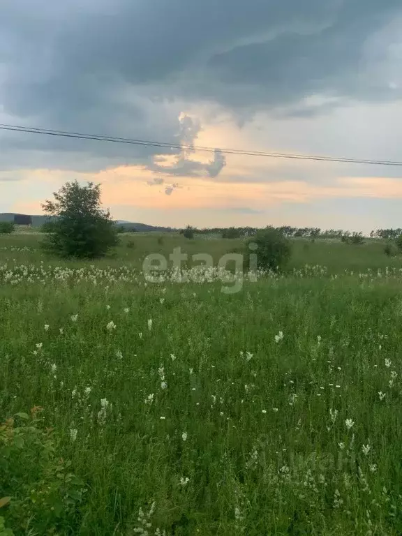 Участок в Алтай, Майминский район, с. Подгорное ул. Заречная (12.0 ... - Фото 1