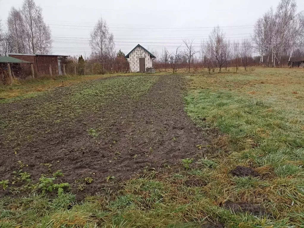 Участок в Калининградская область, Багратионовский муниципальный ... - Фото 1