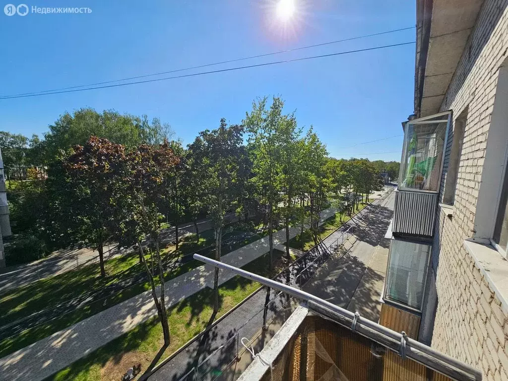 1-комнатная квартира: Дубна, Центральная улица, 21 (26.5 м) - Фото 1