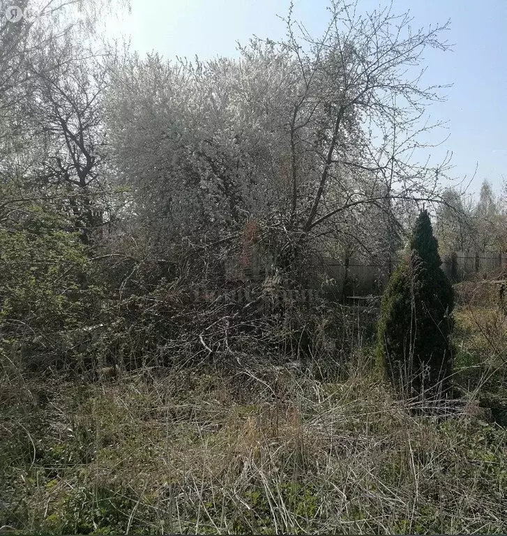 Участок в Тула, посёлок Лихвинка, 11-й Лихвинский проезд (6 м) - Фото 0