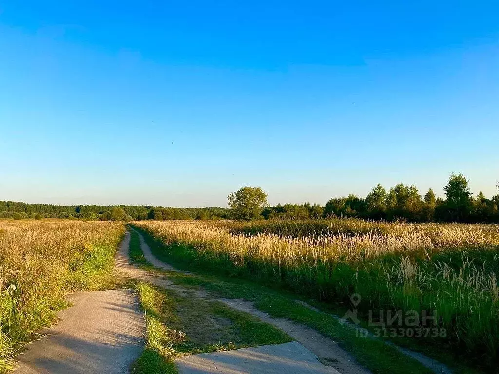 Участок в Московская область, Красногорск городской округ, д. ... - Фото 1