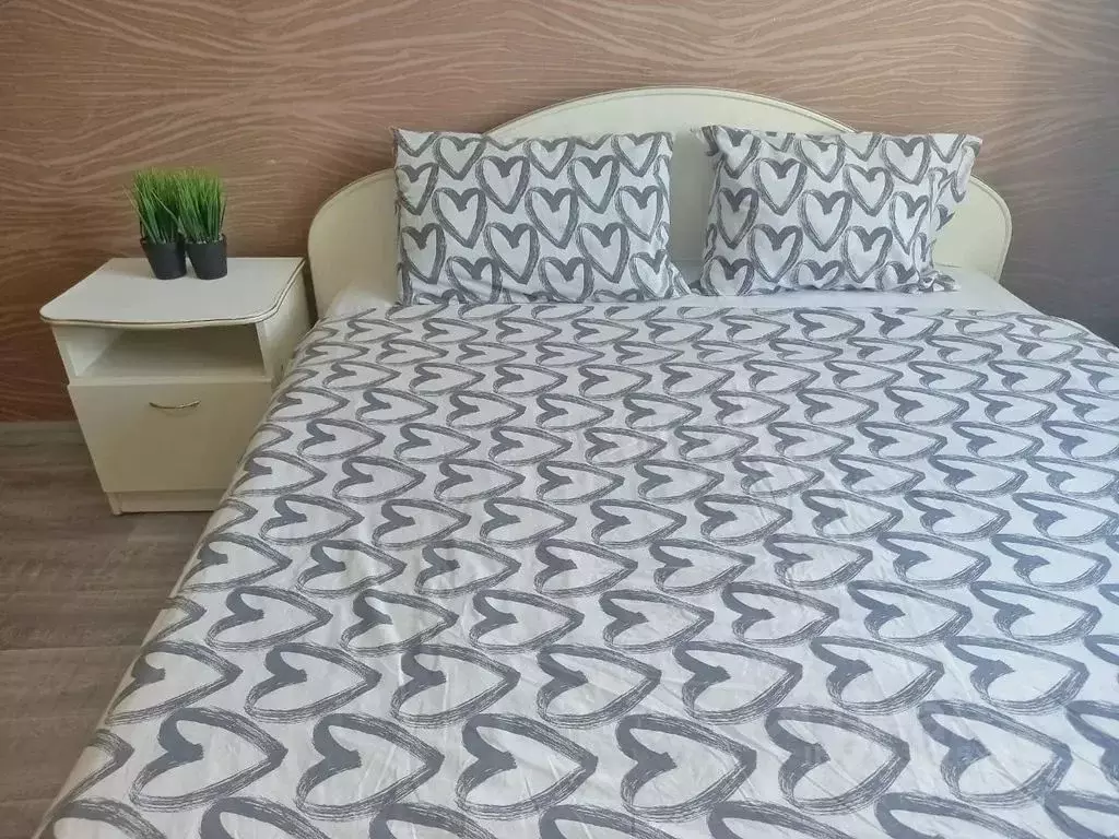 1-к кв. Омская область, Омск ул. Пушкина, 111 (33.0 м) - Фото 2