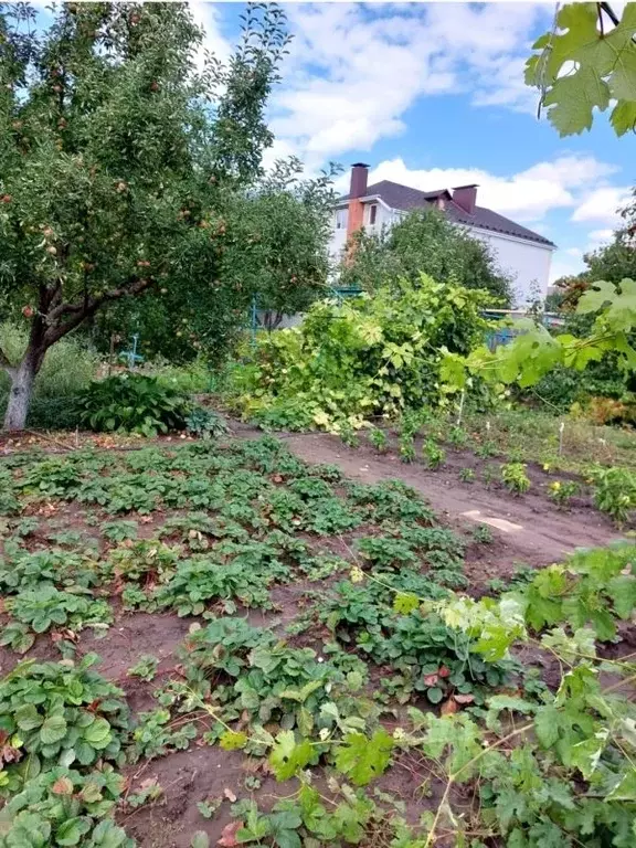 Купить Дом В Энгельсе Ул Черепичная