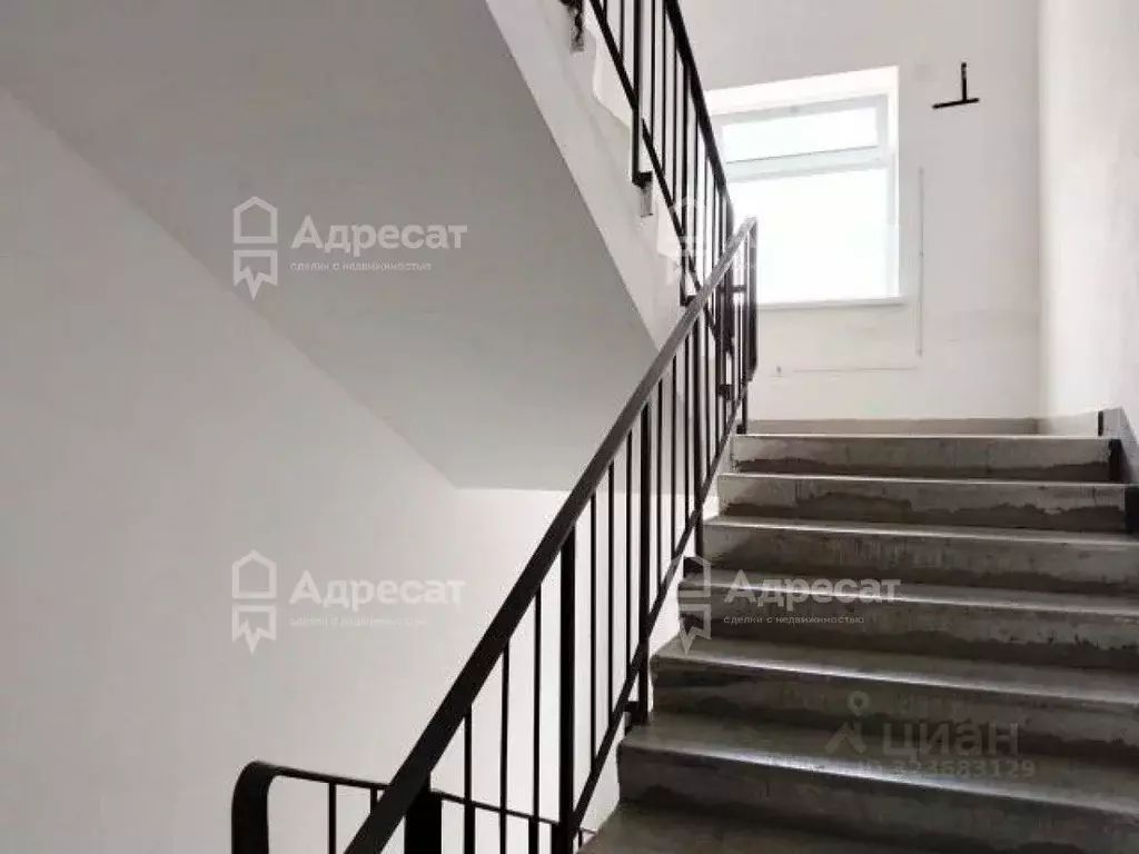 2-к кв. Волгоградская область, Волгоград ул. Грибанова, 21 (46.4 м) - Фото 1