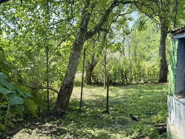 Участок 5 сот. (СНТ, ДНП) - Фото 0
