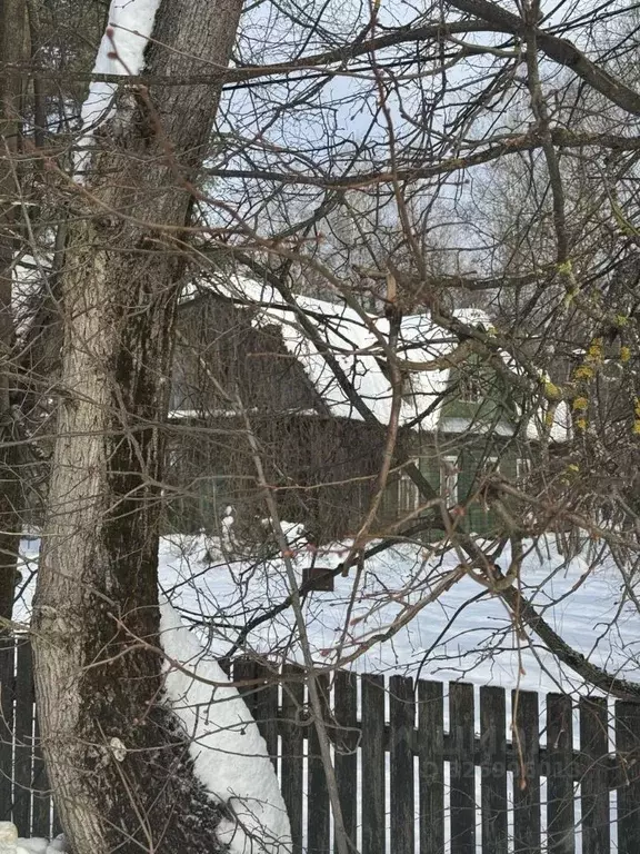 Участок в Московская область, Одинцовский городской округ, пос. Летний ... - Фото 1