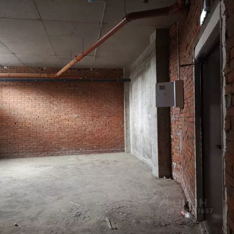 Помещение свободного назначения в Краснодарский край, Геленджик ул. ... - Фото 1