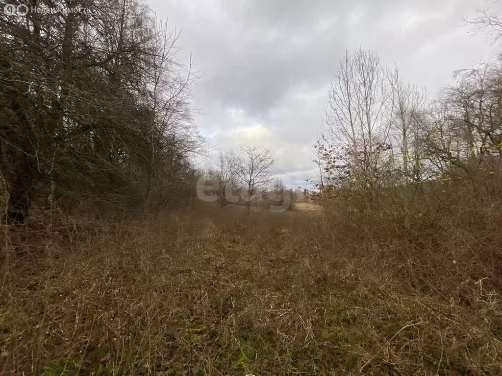 Участок в Калининградская область, Зеленоградск (4.15 м) - Фото 2