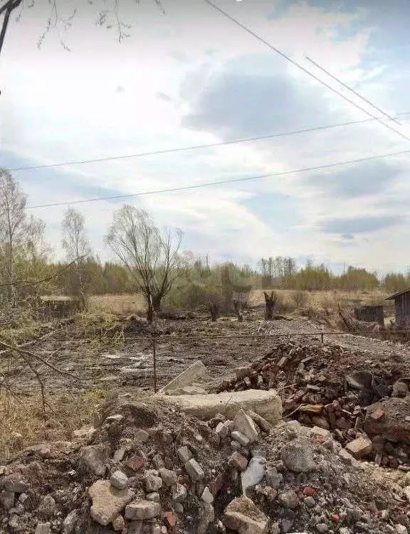 Участок в Владимирская область, Муромский район, д. Александровка ул. ... - Фото 1
