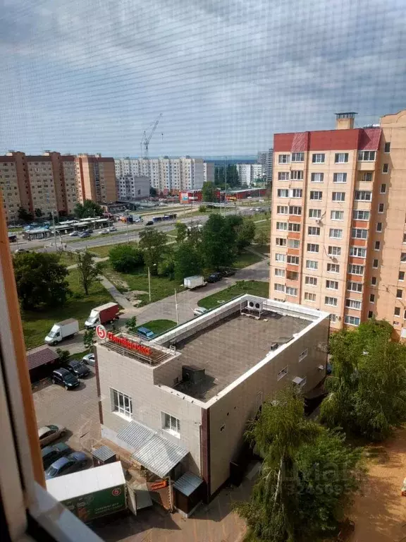 1-к кв. Воронежская область, Воронеж ул. Междуреченская, 1А (32.0 м) - Фото 1