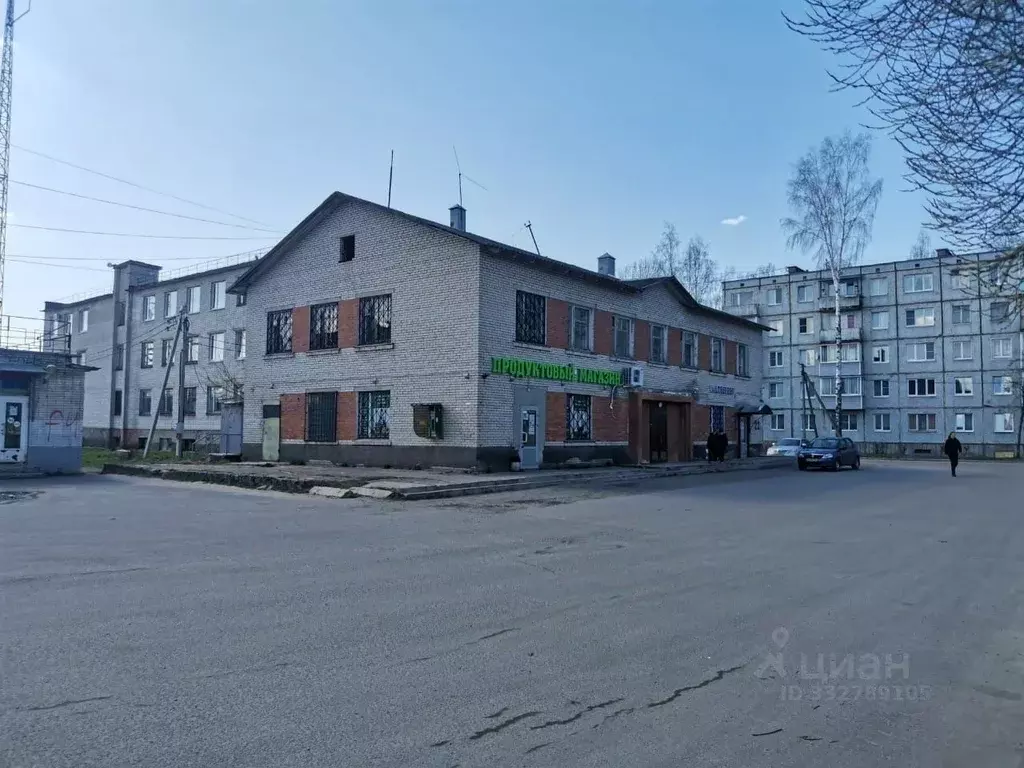 Помещение свободного назначения в Ленинградская область, Лужский ... - Фото 1