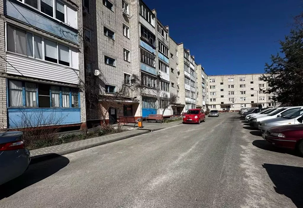 1-к кв. Белгородская область, Белгород ул. Губкина, 49 (36.8 м) - Фото 1