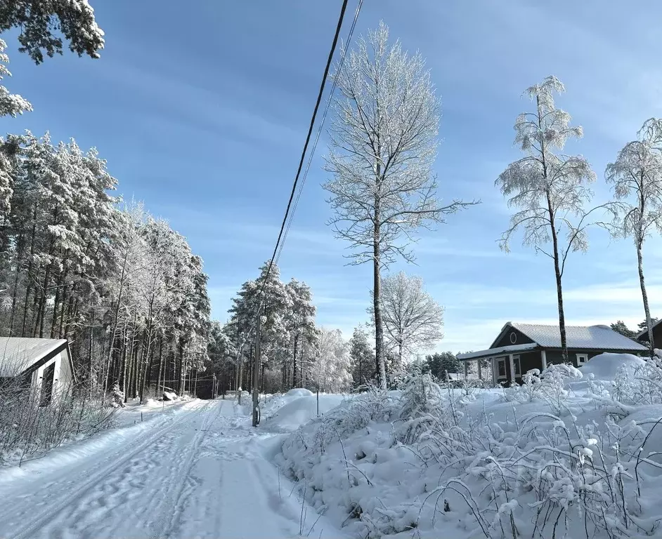 Дом в Ленинградская область, Выборгский район, Полянское с/пос, Лесной ... - Фото 2