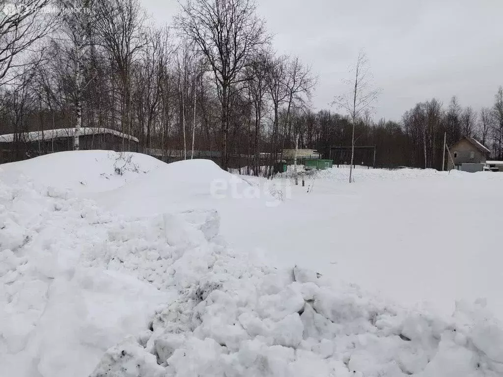 Участок в деревня Борисово, Рябиновая улица (9.6 м) - Фото 1