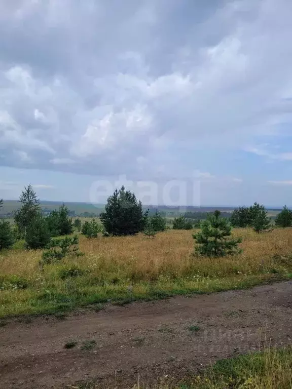 Участок в Мордовия, Кочкуровский район, с. Новая Пырма  (12.0 сот.) - Фото 1