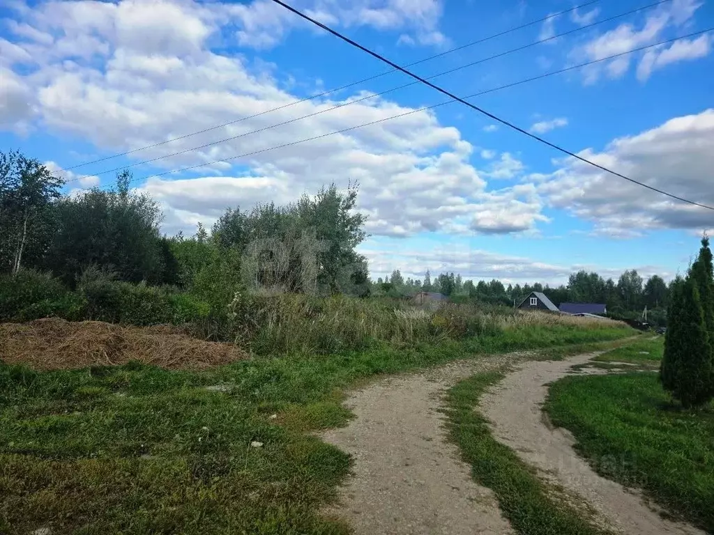 Участок в Калужская область, Бабынинский муниципальный округ, Утешево ... - Фото 1