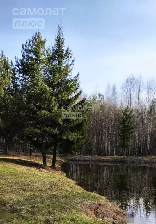 Участок в Нижегородская область, Семеновский муниципальный округ, пос. ... - Фото 1
