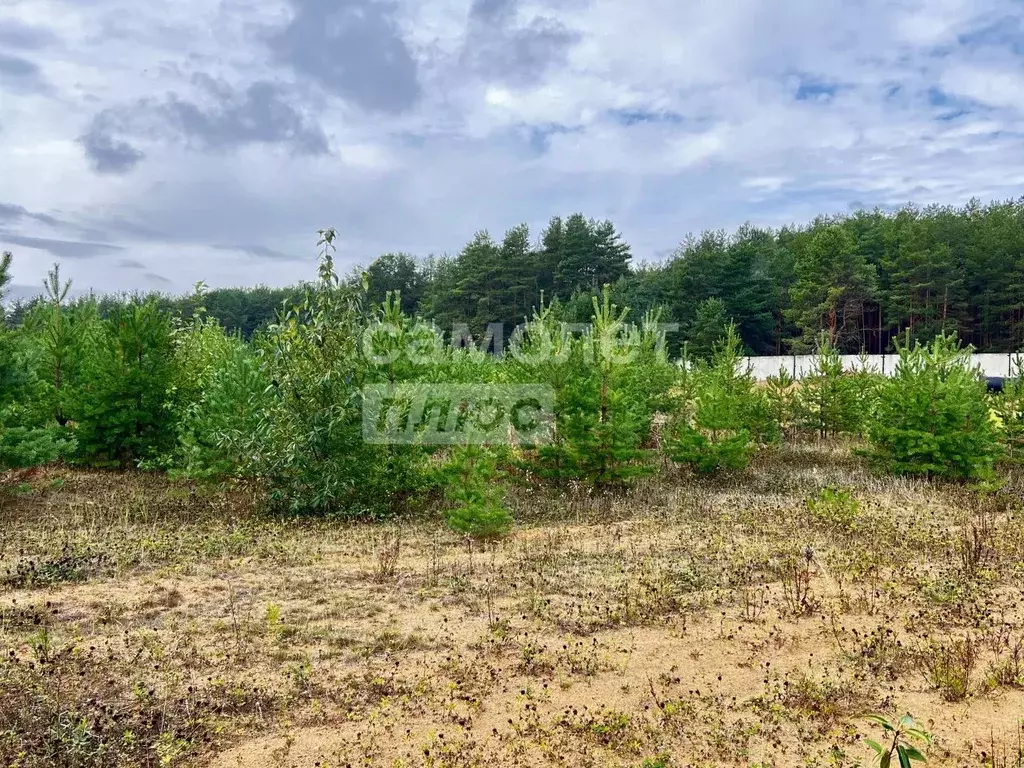 Участок в Пермский край, Березники муниципальный округ, пос. Орел  ... - Фото 1